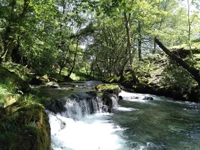 Tanrallt, Machynlleth - Image 5