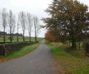 Abbotshaw House Farm B&B - Image 3