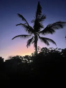 Paradise Palms CLOSE TO BEACH, WIFI, 2 BEDROOMS - Image 4