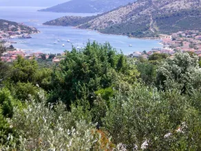 2 bedrooms house with sea view furnished terrace and wifi at Vinisce - Image 5