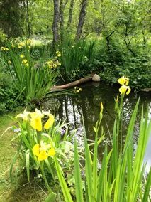 Hotel am Bach - Image 3