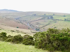 Dartmoor House B & B - Image 4