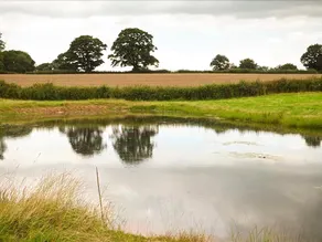 The Granary - Image 5