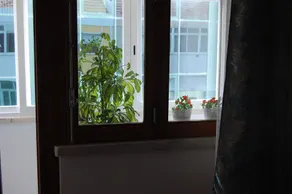 Casa Amarela Belém - Image 4