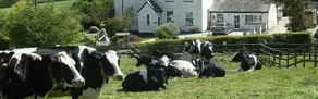 Wheatley Farm - Image 3