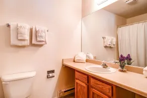 Winterpoint Snowbound Townhome - Walk to Town/Slopes - Image 5