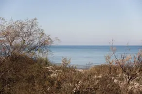 Beach house, direct access to sea, in Spiaggiabella, 3 bedrooms m701 - Image 5