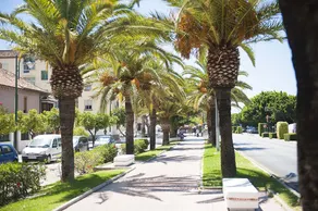 Suncity Dúplex La Rosaleda - Image 4