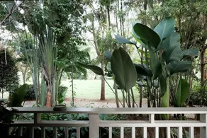 Dolphins Apartments - Image 1