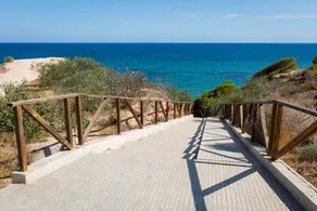 Fidalsa Ave María - Image 4