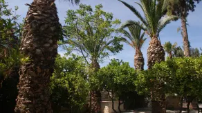 Villa Christina - Image 5