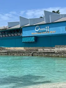 018 mystic ridge ocho rios - Image 4