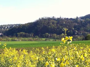 Blissful Holiday Home In	battenberg With Fenced Garden - Image 2