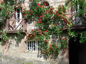 Le Moulin Fleuri Du Petit Appeville - Image 4