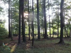 Tentrr - Restoration at Cattail Cove-Campsite - Image 5