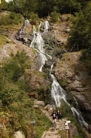 Sternen - Image 2
