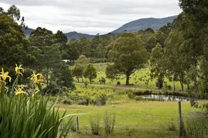 Collins Cap Cottage - Image 3