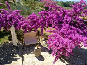 Agriturismo Il Marchese - Image 2