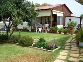 Gerani - Image 2