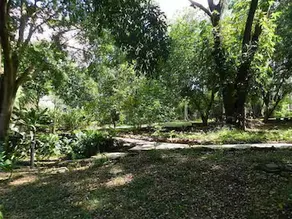 Vila Chalé - Image 5