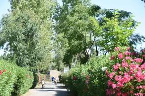 Camping & Spa Cap Soleil - Image 5