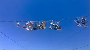 Lo Vela Zen - Image 2