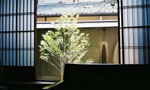 Gojo Guest House Annex - Image 5