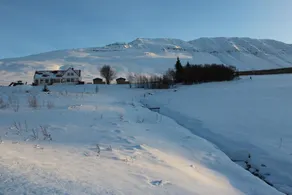 Silva Holiday Home - Image 3