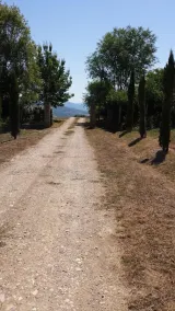 Agriturismo Castagneto Picci - Image 5