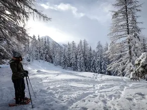 A new chalet with sauna, on the edge of La Tzoumaz - Image 5