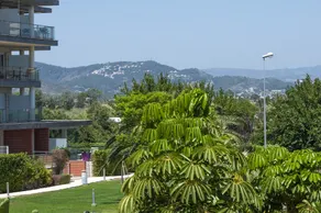 Brezo - Image 3