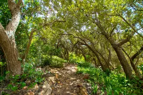 Makapa Lodge - Image 4