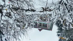 Manali Top Inn and Cafe - Image 4