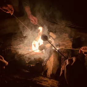 Son's Rio Cibolo - Glamping Cabin G - Image 5