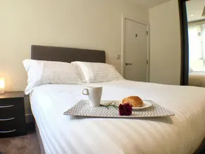 Luxurious Shelley House Apartment - Image 2