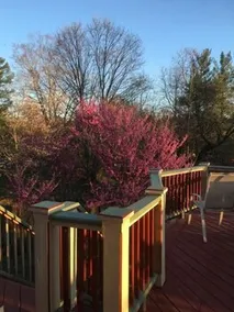 Jonesborough Bed & Breakfast - Image 4
