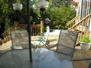 Patricia's Place - Image 3