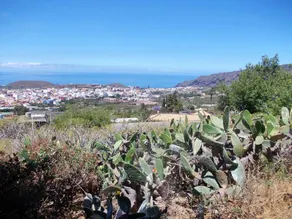 2 bedrooms house with sea view furnished terrace and wifi at El Paso - Image 3