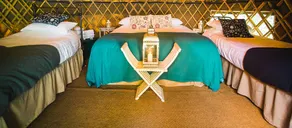 Oak - Yurt - Image 2