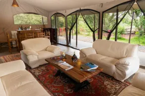 Hammerkop Migration Camp - Image 5