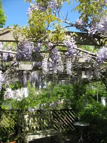 Broadhayes - Image 2