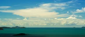 Whitsundays Rainforest Retreat - Image 5