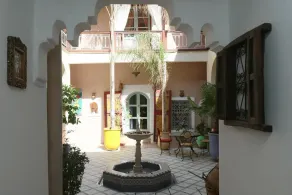 Riad Ija - Image 4