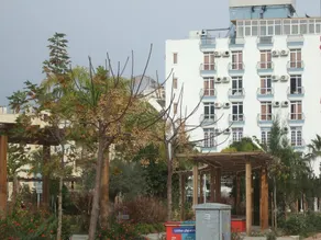 Suntalia Hotel - Image 4