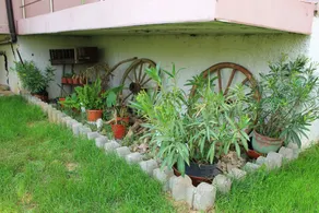 Guest House Bordo - Image 5