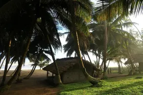 Beyin Eco Beach Camp - Image 3