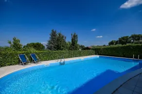 Groppello - Image 2