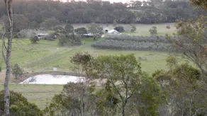 Bunnyconnellen Olive Grove and Vineyard - Image 5
