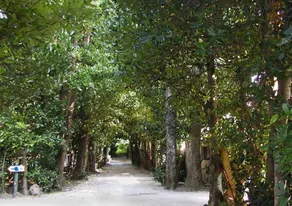 Onna Resort Inn - Image 5