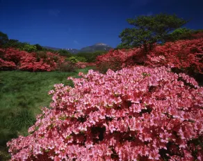 Kyukamura Nasu - Image 4